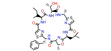 Patellamide G